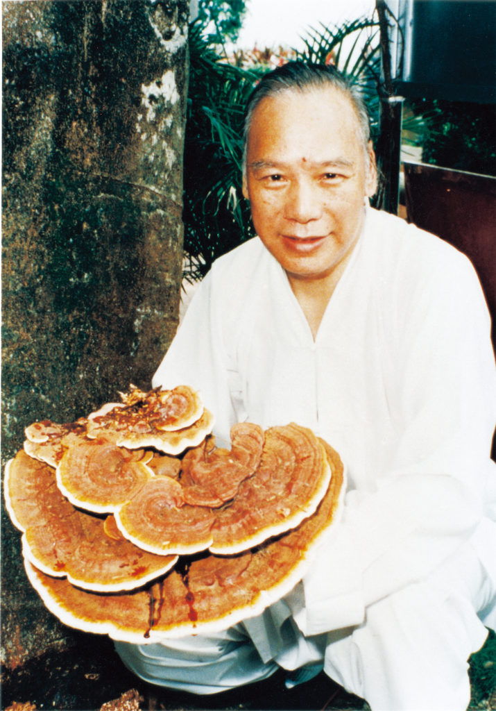靈芝獻瑞