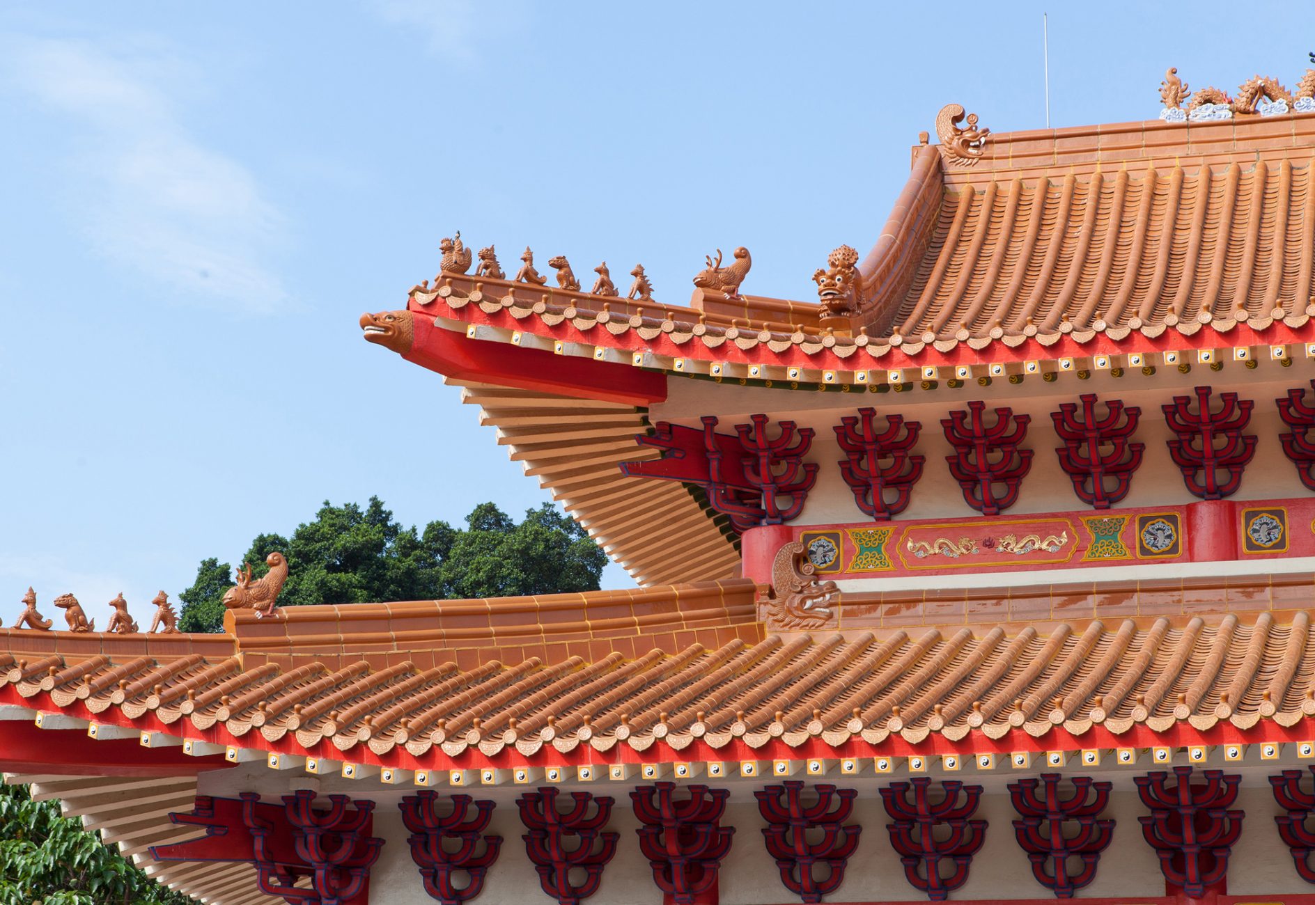联络本馆
